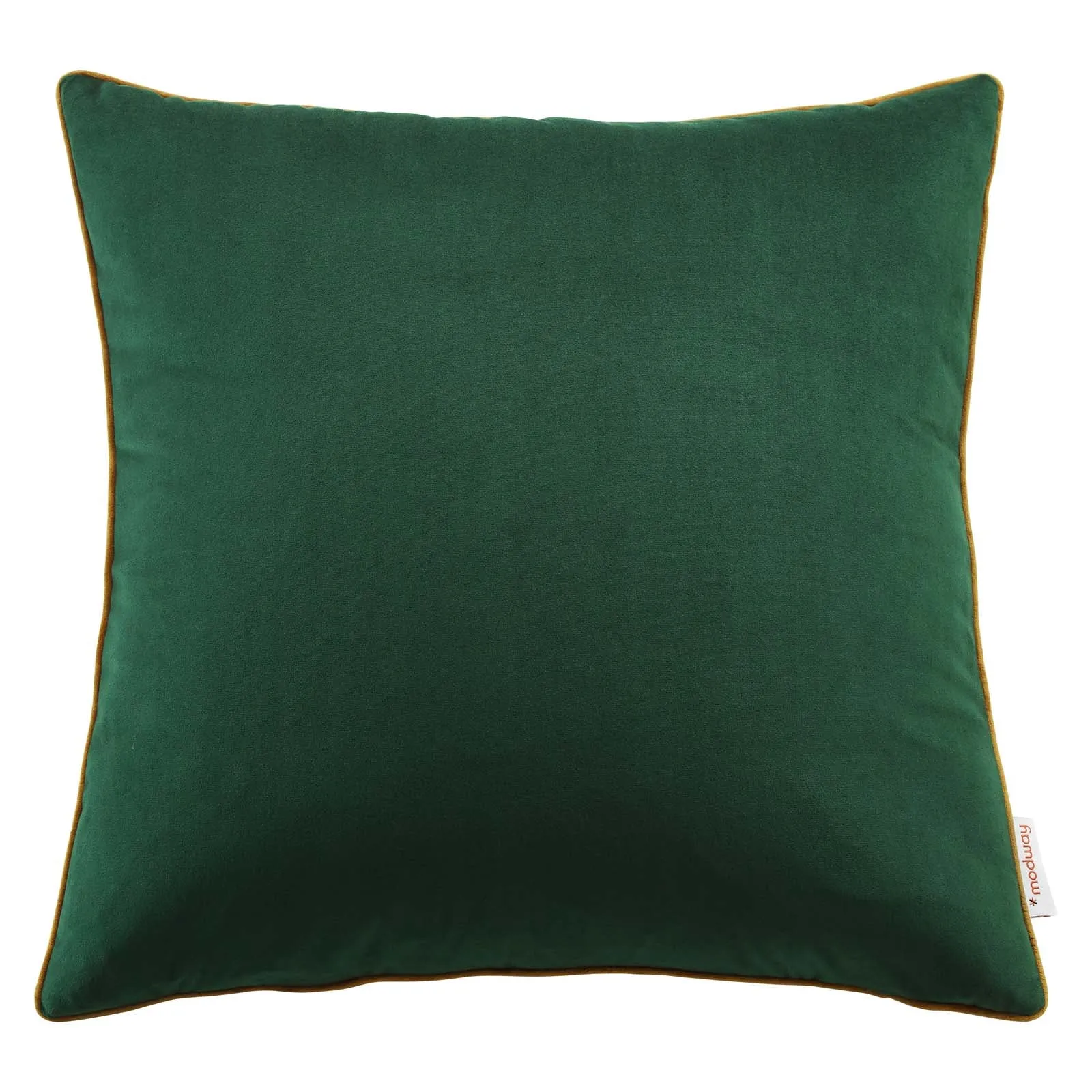 Accentuate 20" Performance Velvet Throw Pillow