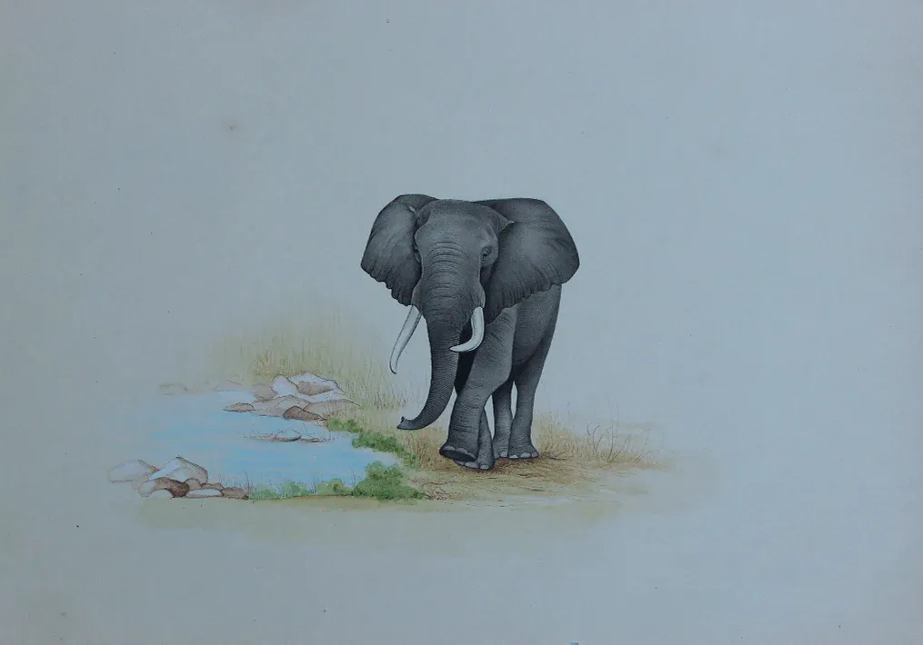 An Elephant in Wild Miniature Painting by Mohan Prajapati