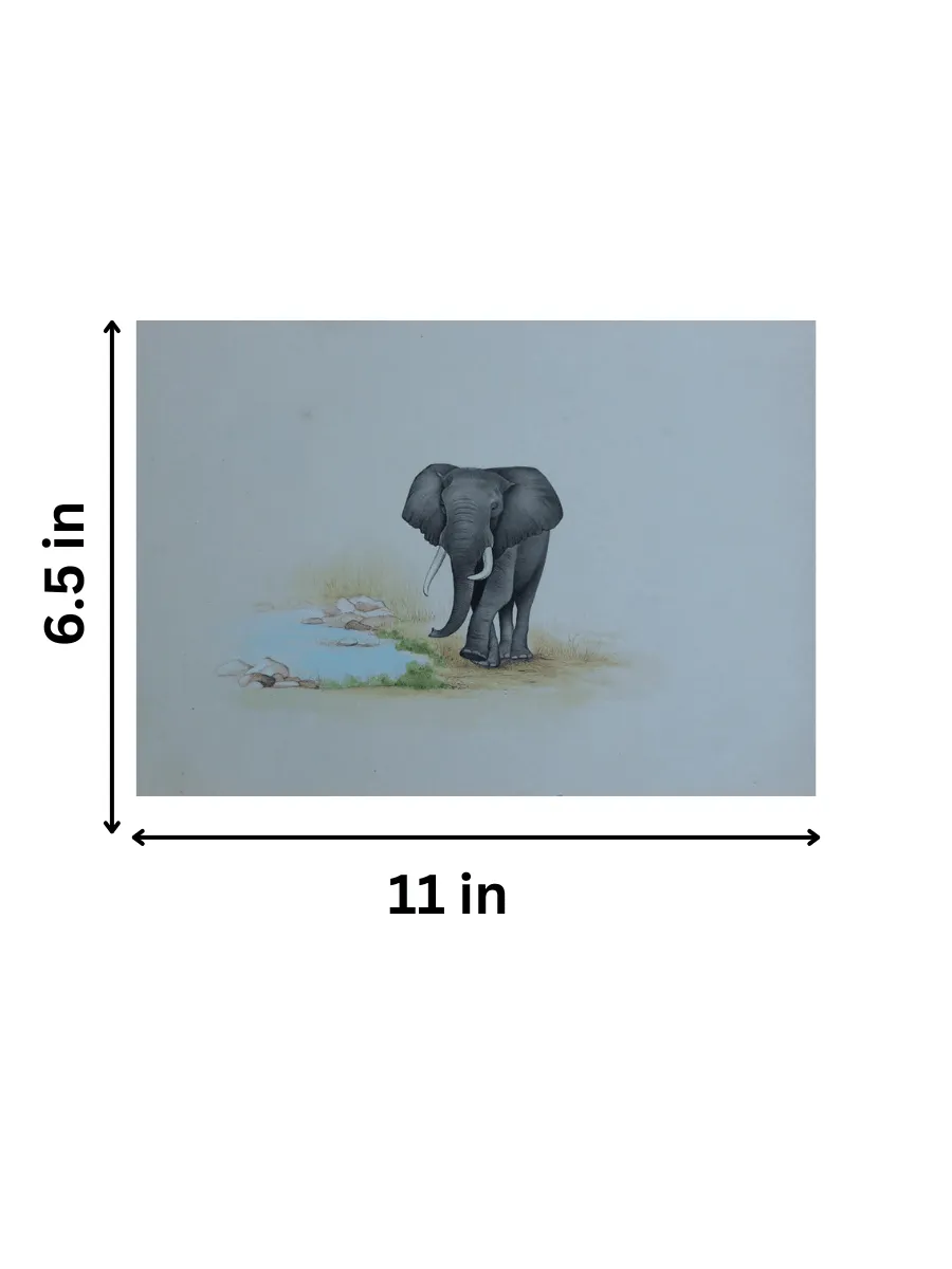 An Elephant in Wild Miniature Painting by Mohan Prajapati