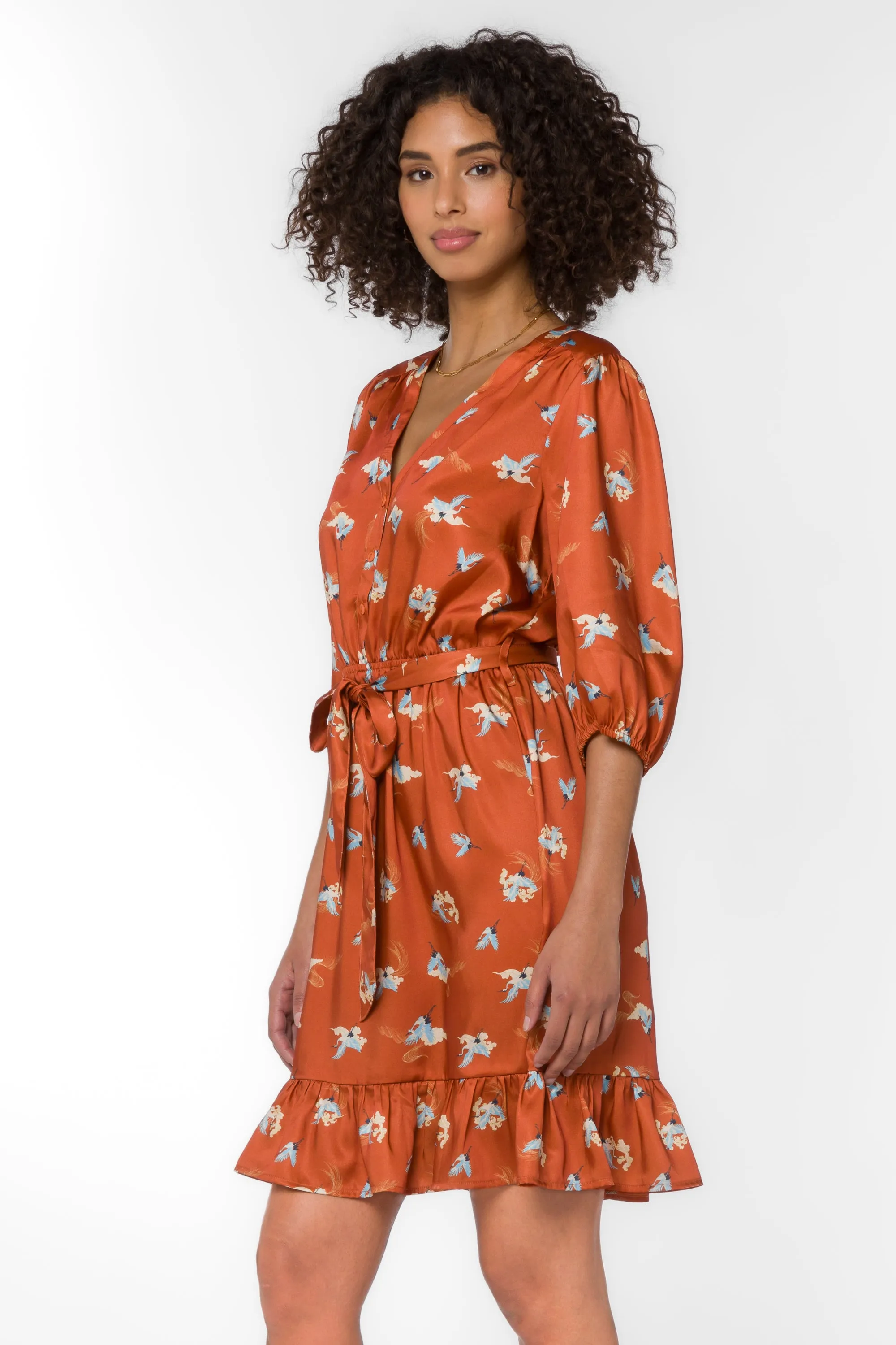 Darcie Rust Cranes Dress