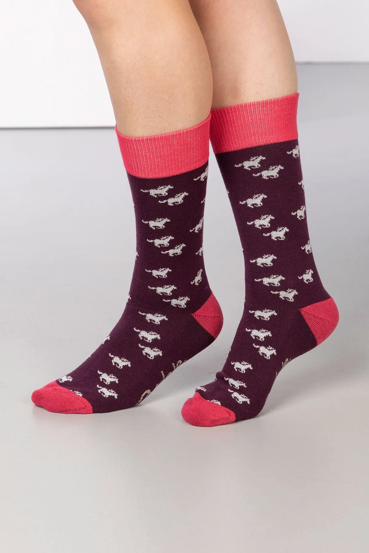 Ladies Galloping Horse Ankle Socks