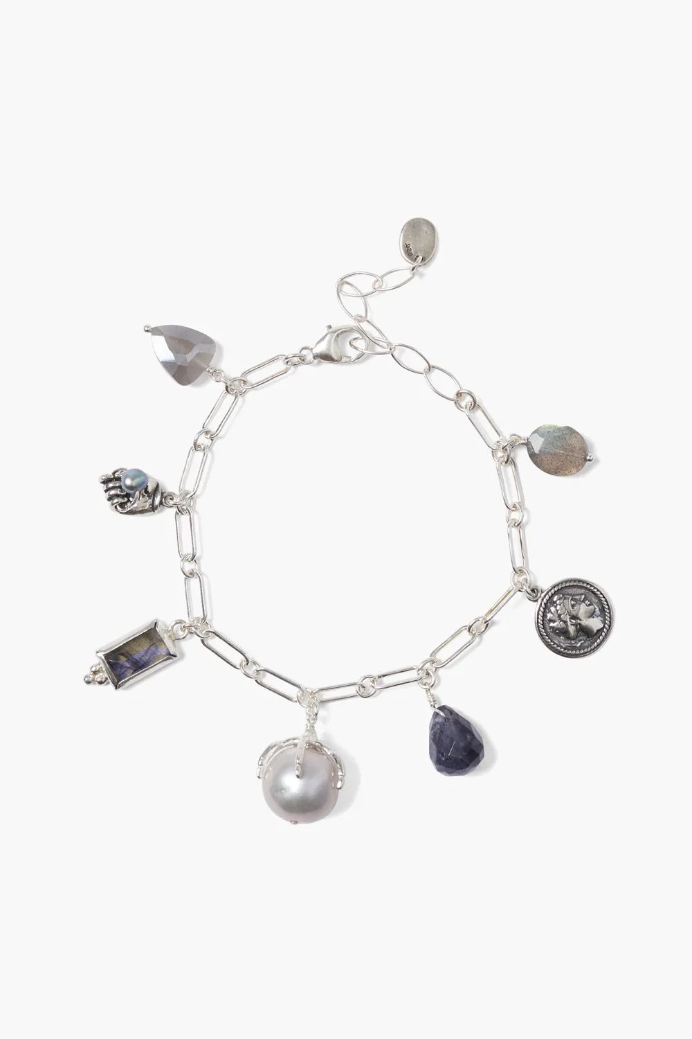 Lark Charm Bracelet Silver Mix