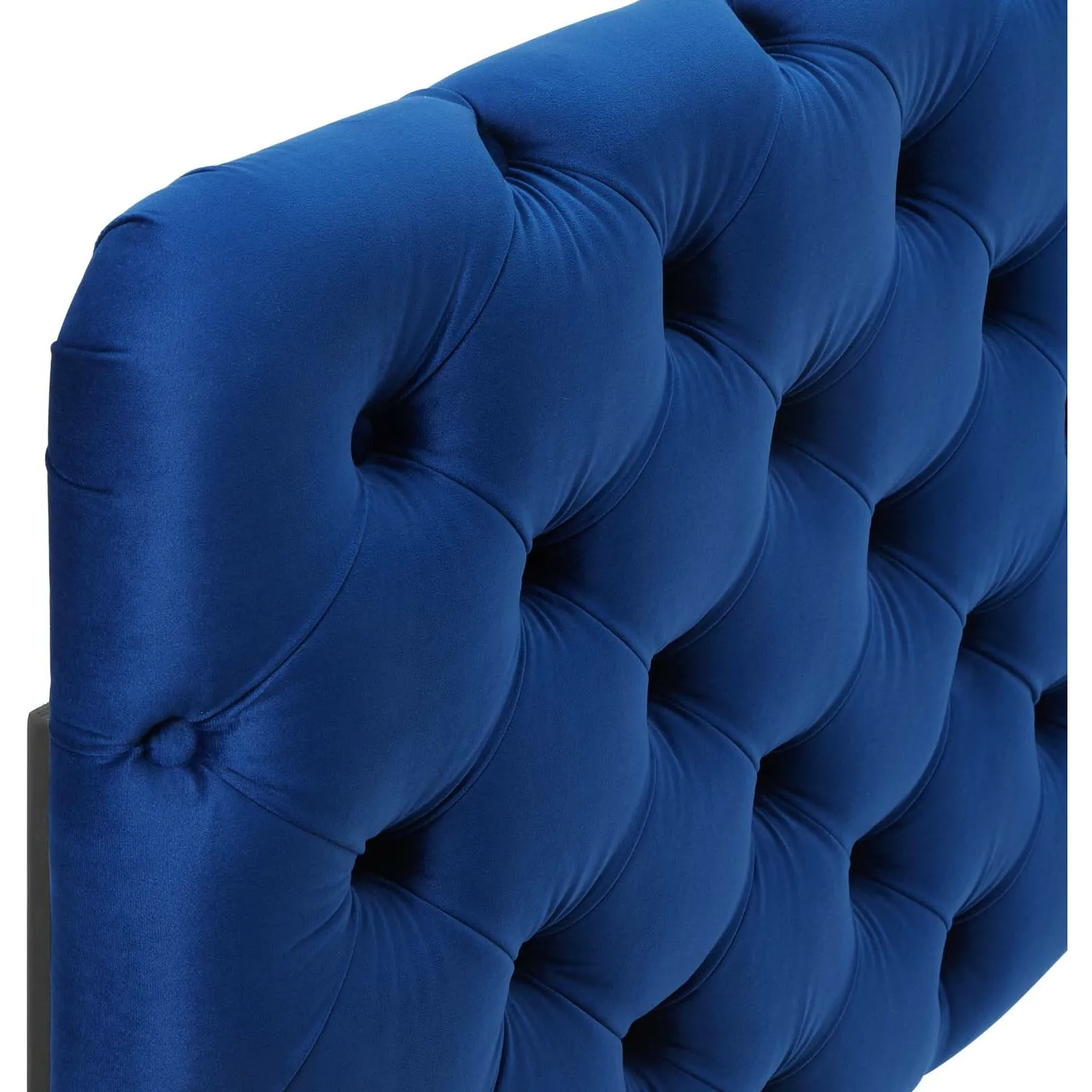 Lizzy Tufted Performance Velvet Headboard