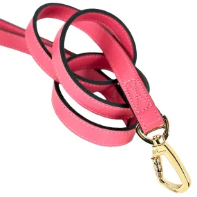 Mayfair Dog Leash in Petal Pink & Gold