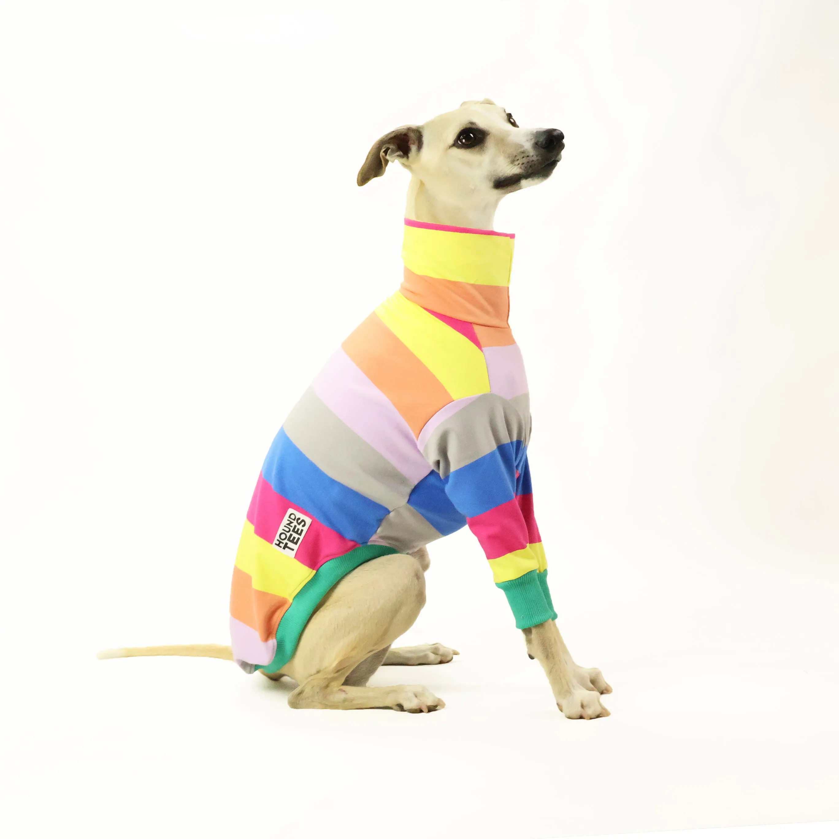 Molly Whippet Long Sleeve Tweater