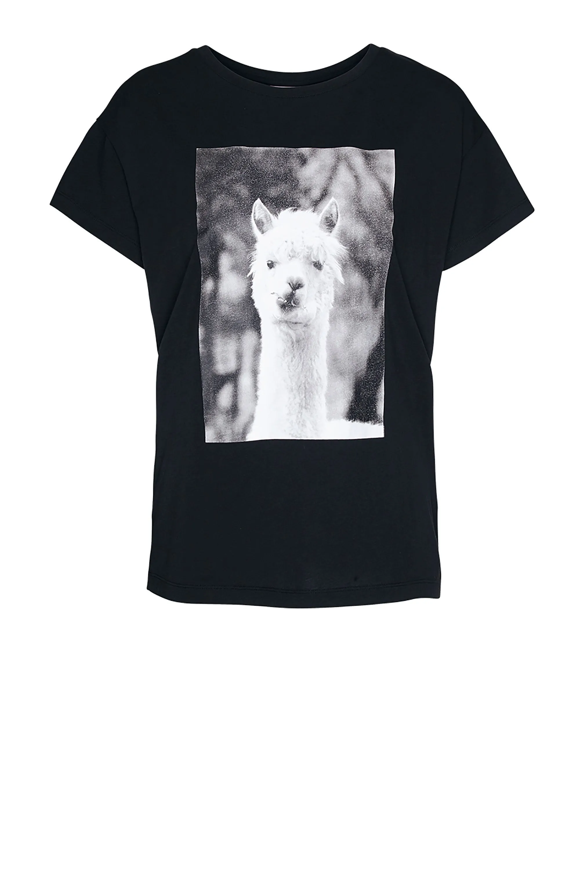 nelaa llama t-shirt black <br> by ARMEDANGELS