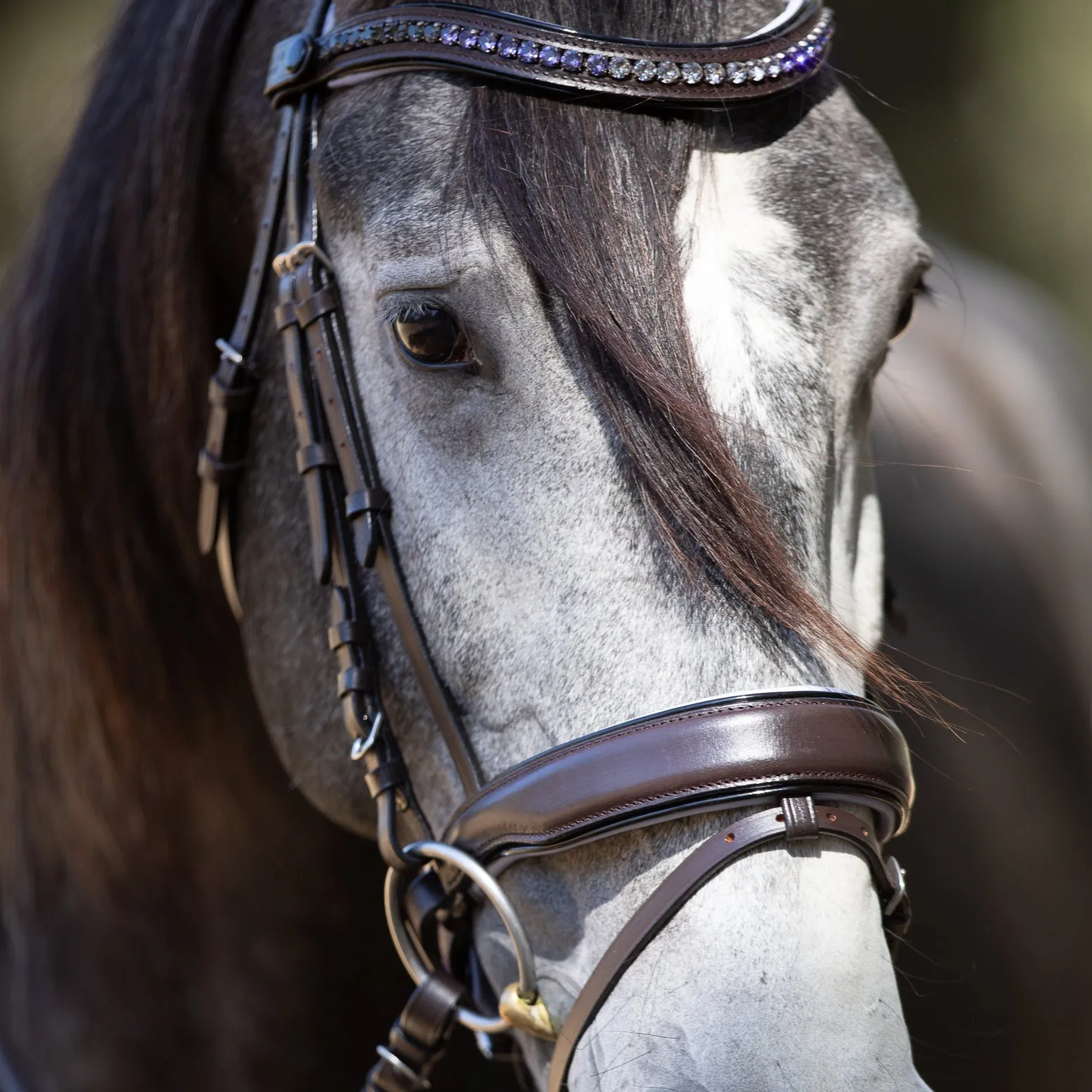 The Chloe - Maple Brown Snaffle with Lavender Padding & Black Patent Piping