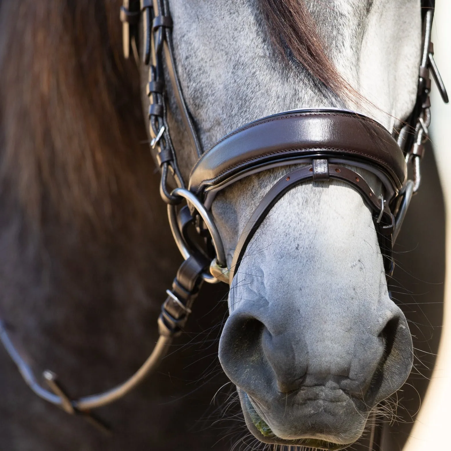 The Chloe - Maple Brown Snaffle with Lavender Padding & Black Patent Piping