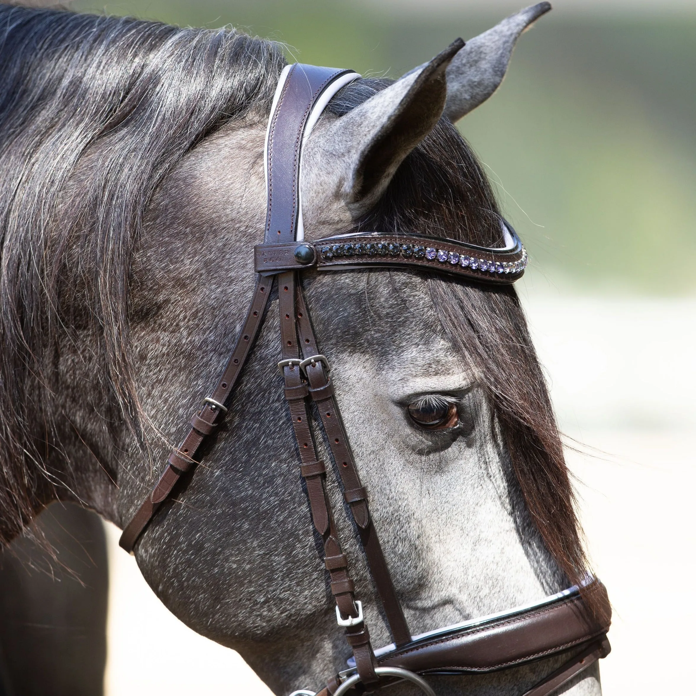 The Chloe - Maple Brown Snaffle with Lavender Padding & Black Patent Piping