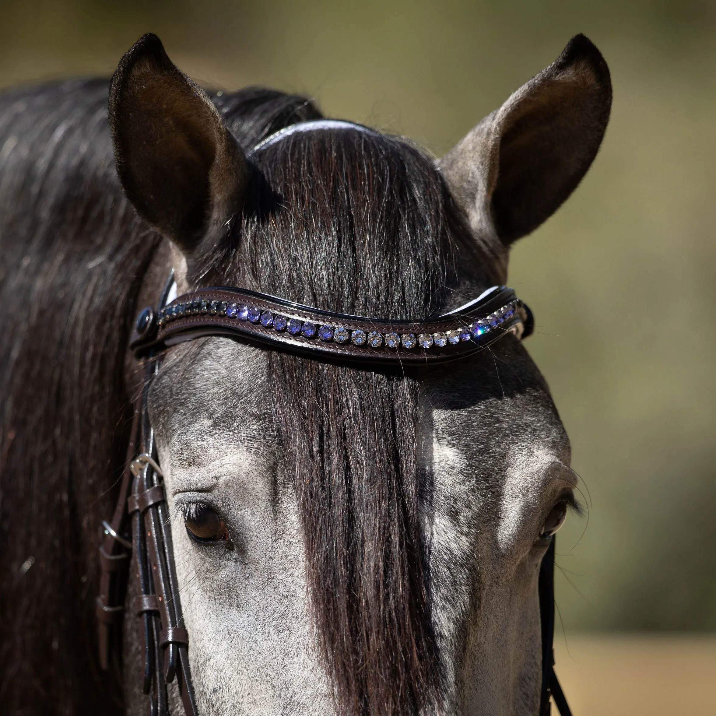 The Chloe - Maple Brown Snaffle with Lavender Padding & Black Patent Piping